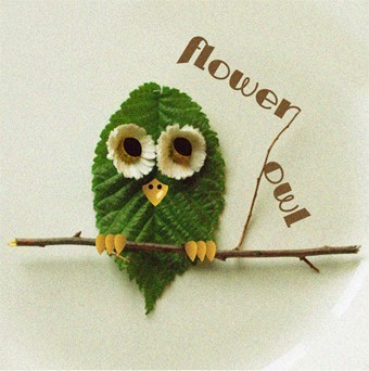 Flower Owl