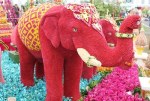 Elephant of Flowers